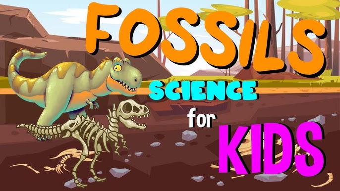 Dinosaurs & Fossils